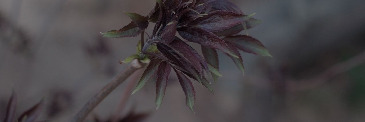 chepurnoy's profile banner image
