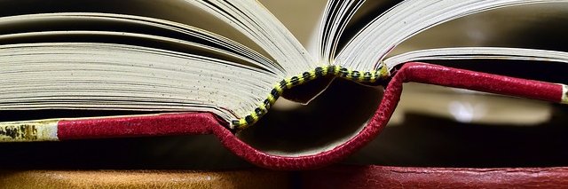 Veronica Buttry banner