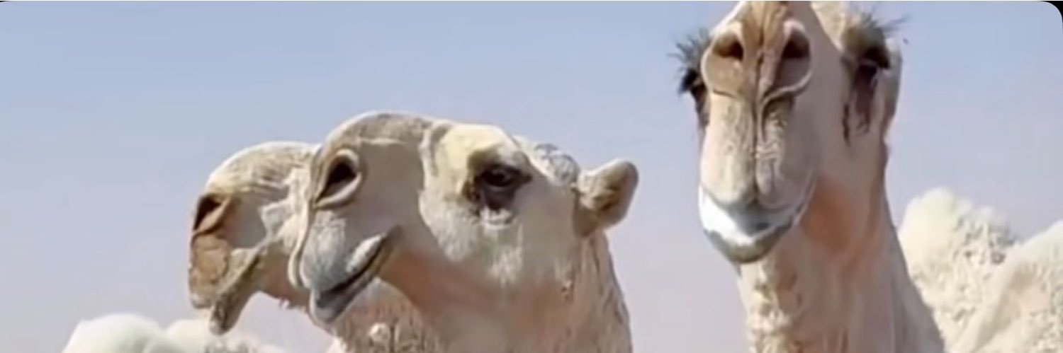 ‏ســنــد الصعيري banner