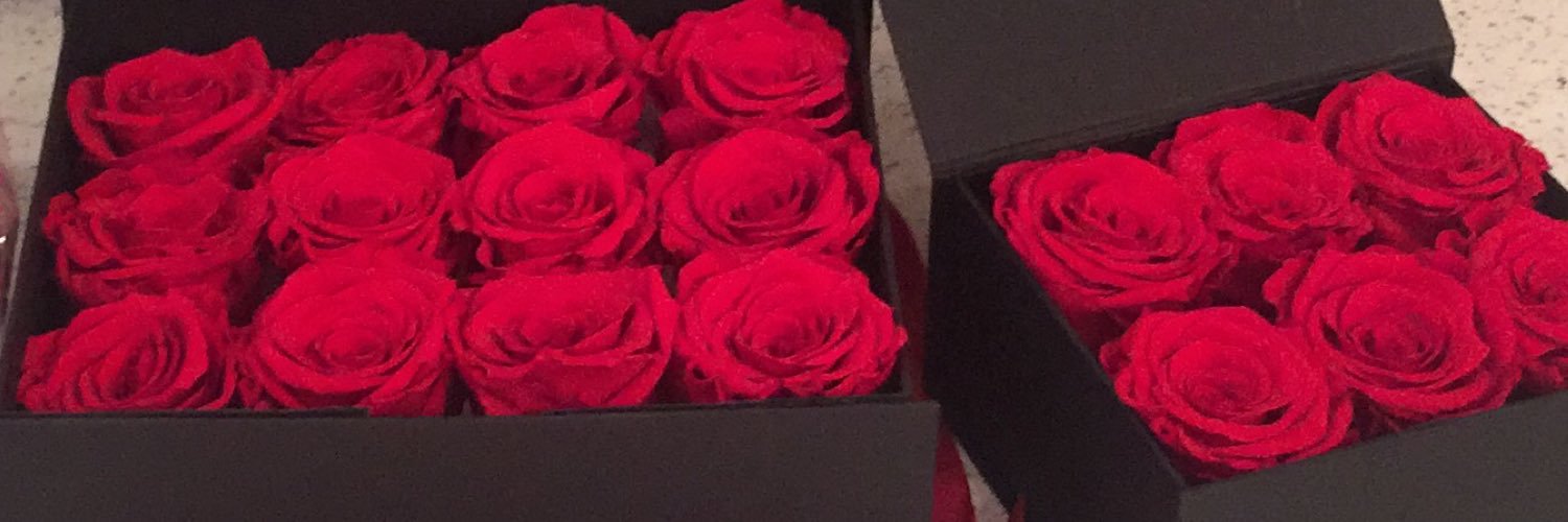roseeverlast's profile banner image