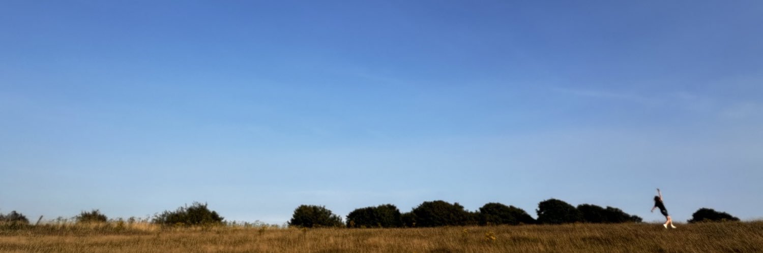 benruffels's profile banner image