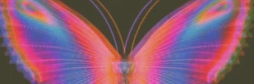 Quaay_.222 banner