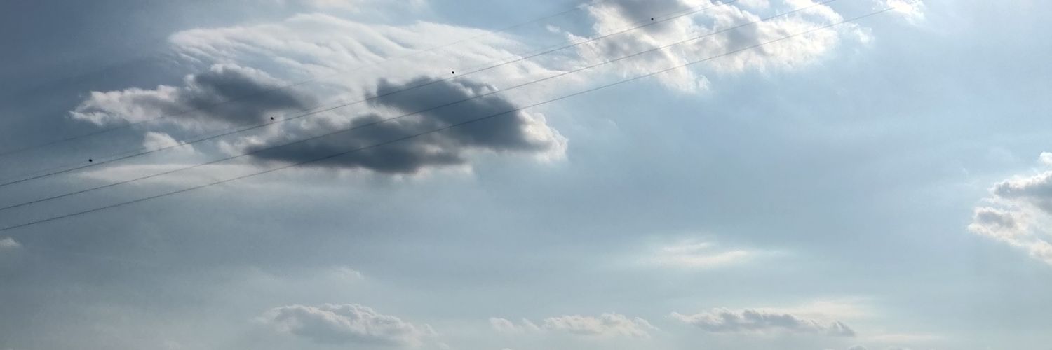 Corradino Janigro banner