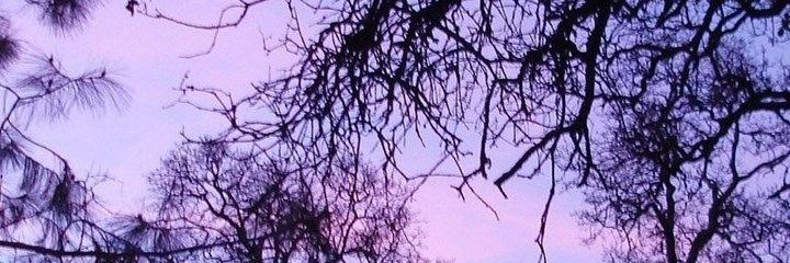 saralinity's profile banner image