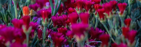 ArtMarKAS Profile Banner