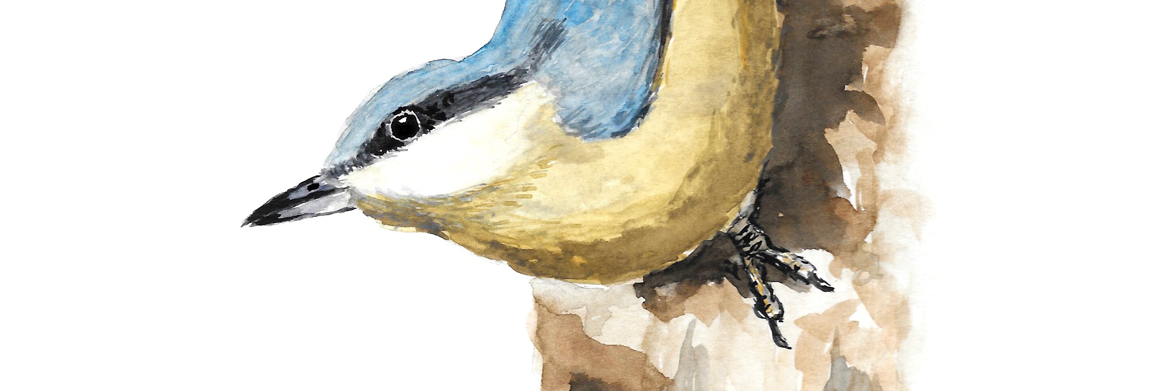 CGarbiL's profile banner image