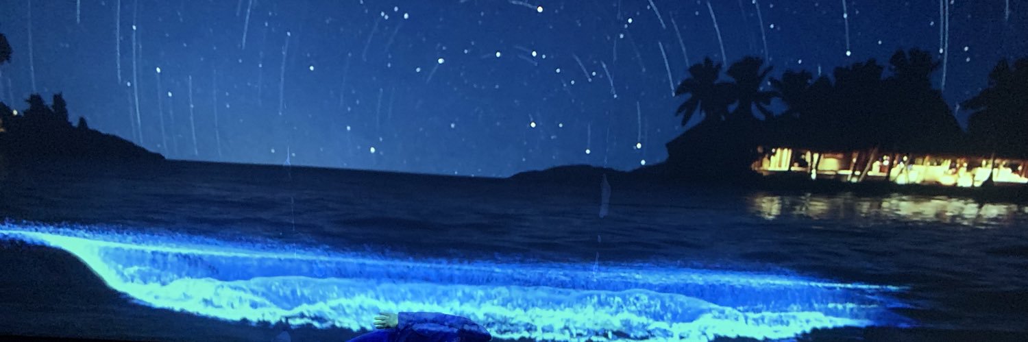 xiaobowang's profile banner image