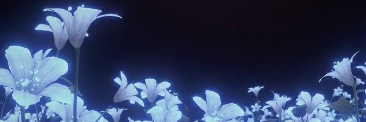 𝔞𝔩𝔢𝔫𝔞 ⋆⁺₊⋆ ☾ ⋆⁺₊⋆ ☁︎ banner