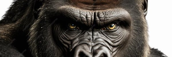 PatriotPrimate Profile Banner