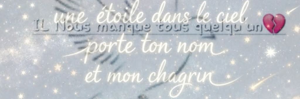 Nadine banner