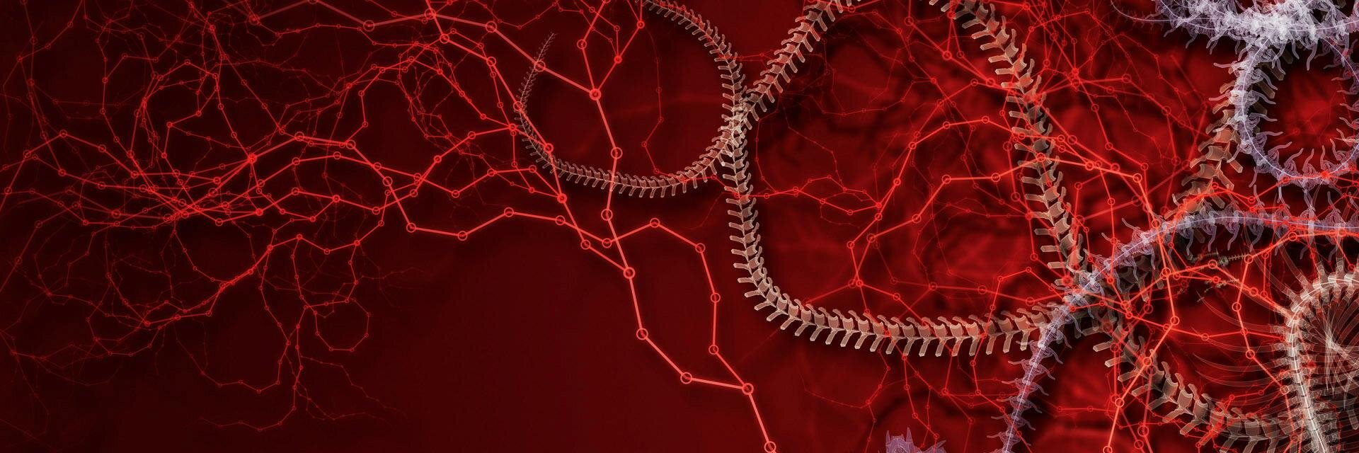 Neptalium's profile banner image