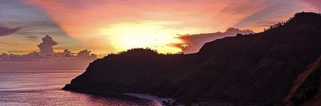 alicialiongue's profile banner image