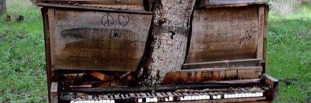 zakk_yo's profile banner image