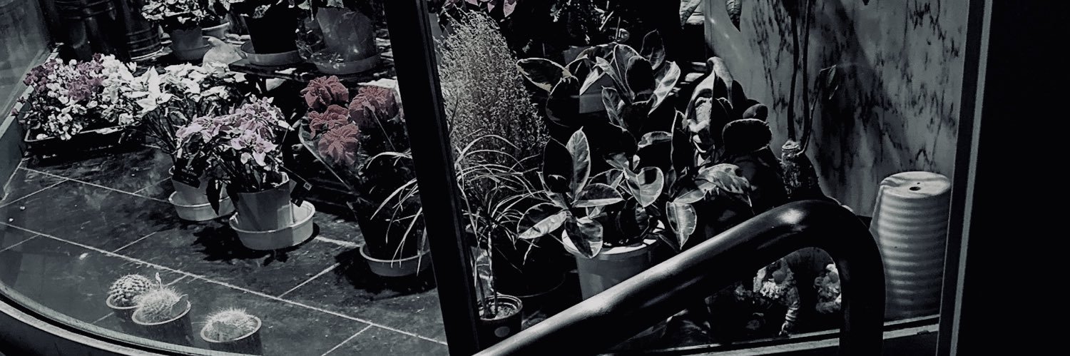 mon_28_mon's profile banner image