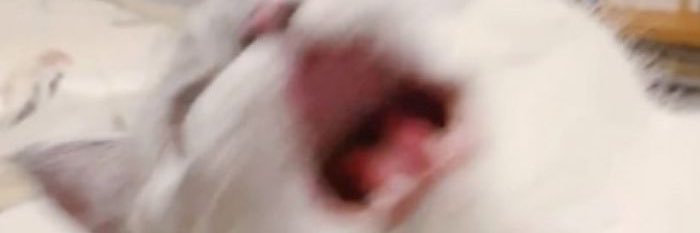 amyc0r3's profile banner image