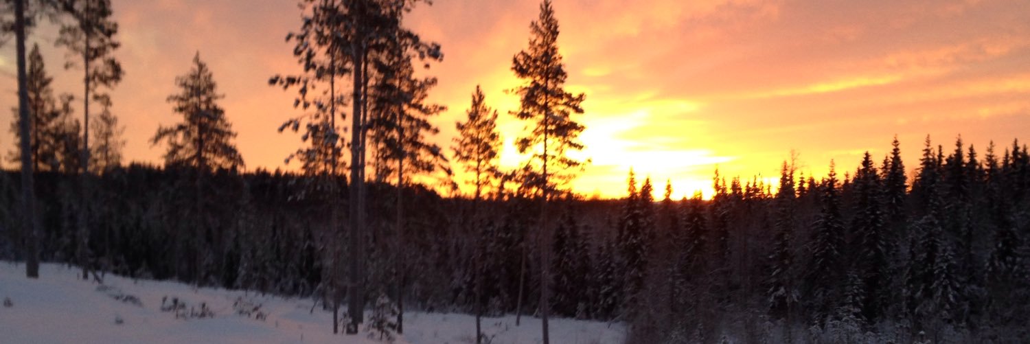 Tornedalslopp's profile banner image