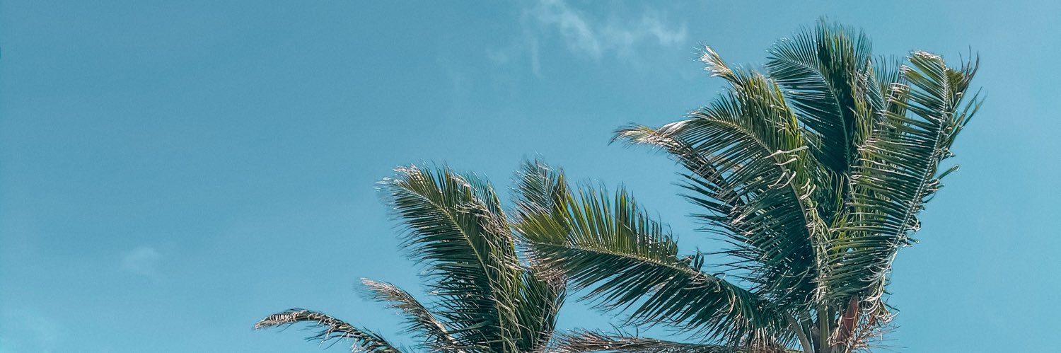 rodcoplin's profile banner image