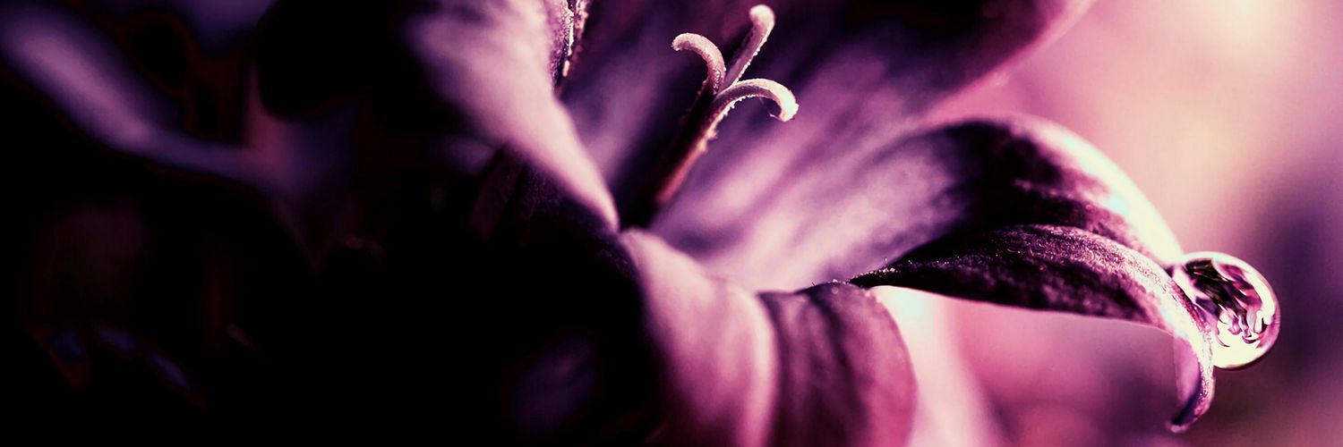 AutumnK_Vallo's profile banner image