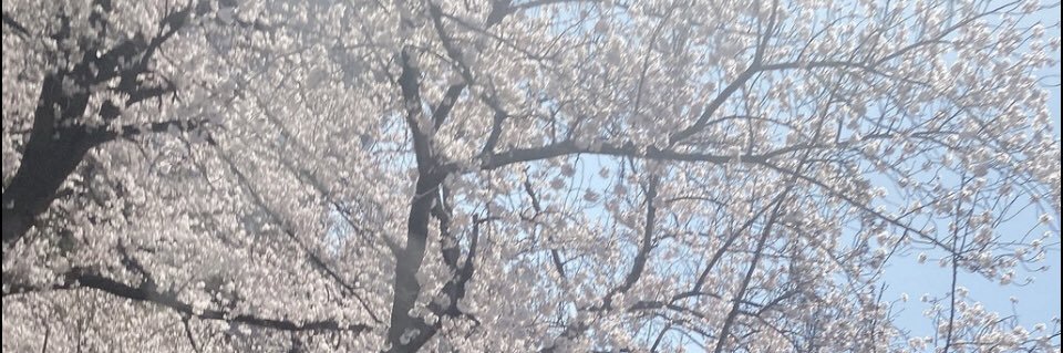 Plexoryn_9's profile banner image