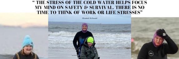 Elizabeth McDonald banner