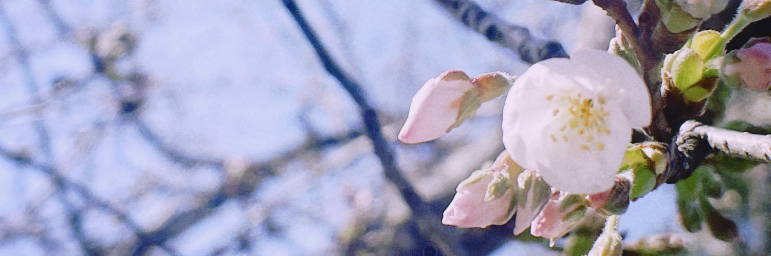 _13c's profile banner image