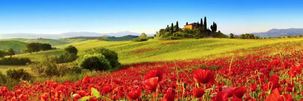 NewTuscanExp's profile banner image