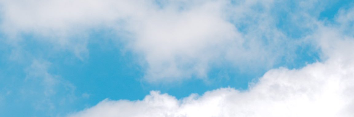 🤴P子🎠🎠🎠 banner