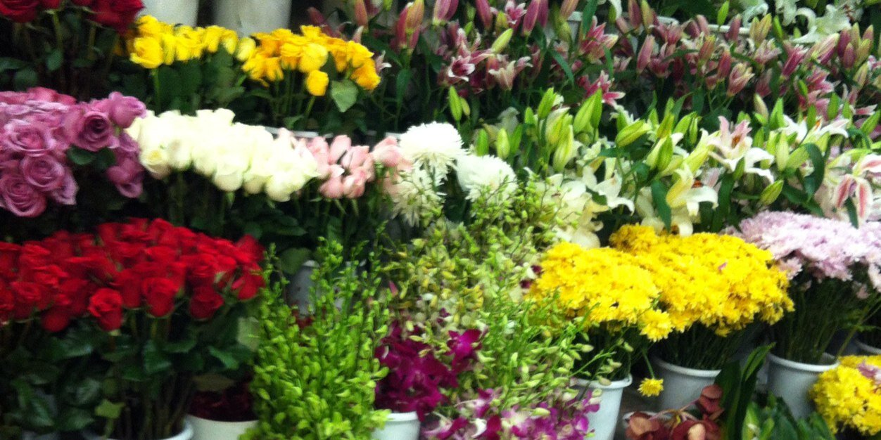 Raghad_alth's profile banner image