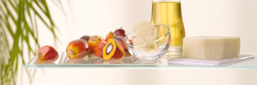 Unione Italiana per l'Olio di Palma Sostenibile banner