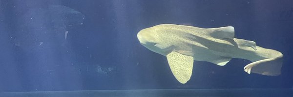 AlGWood Profile Banner