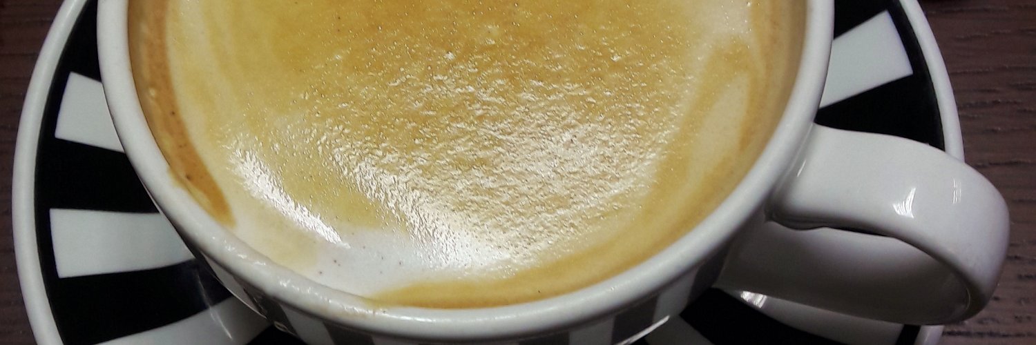 Vinyl Cafe Carlisle banner