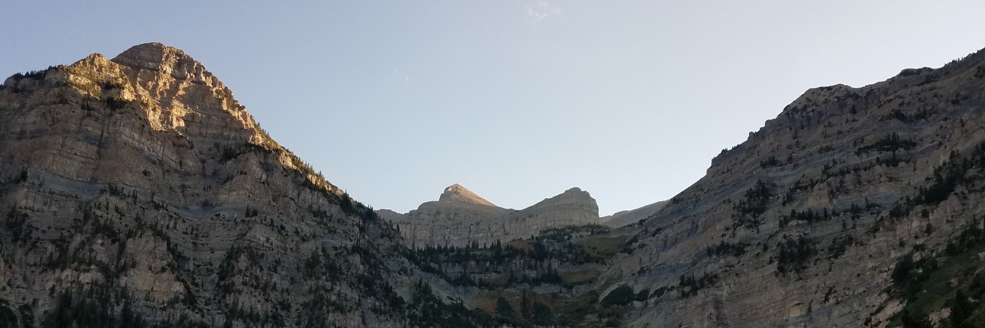 Jocelyn Wikle banner