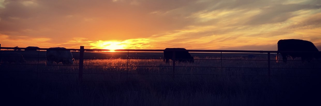 ChadHudecki's profile banner image