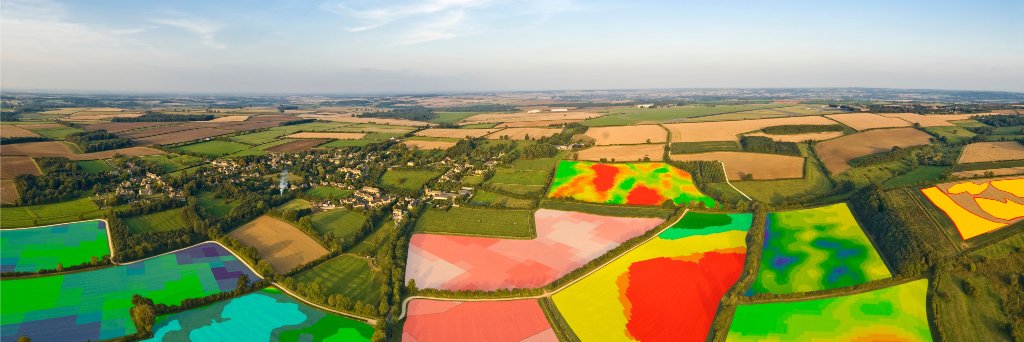 SOYL precision banner