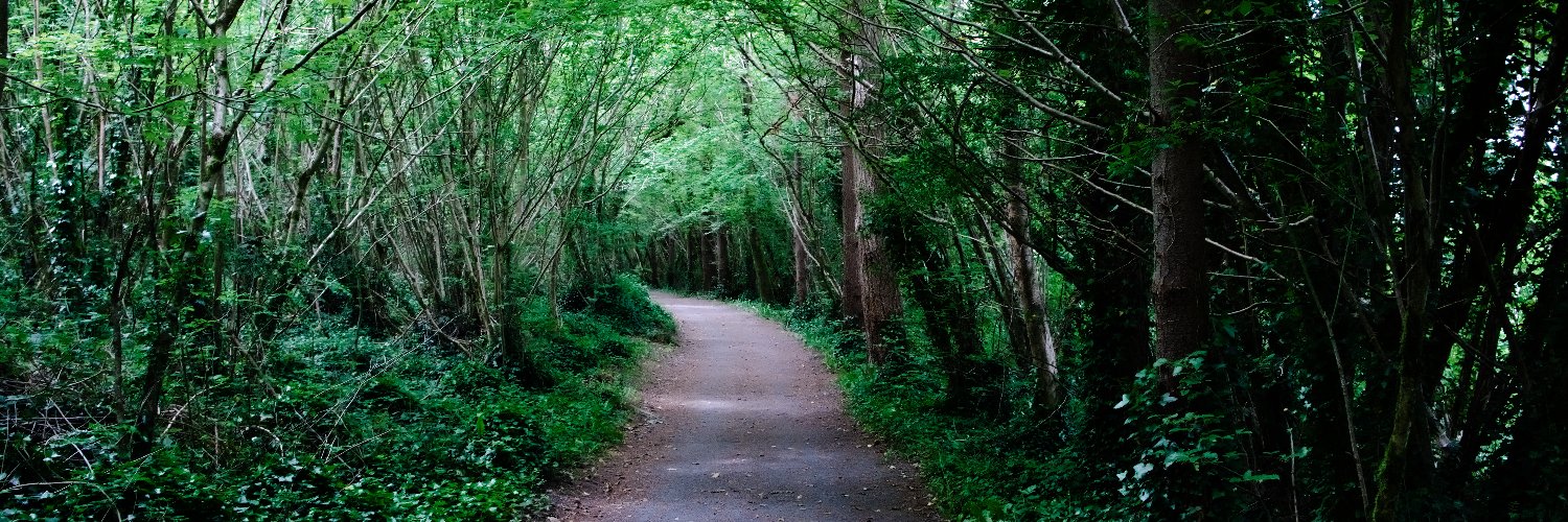 Jonathan Ring banner