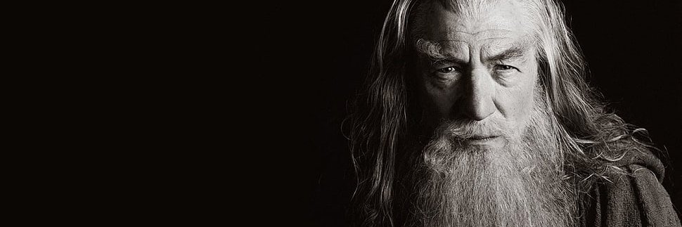 Gandalf Trader's banner