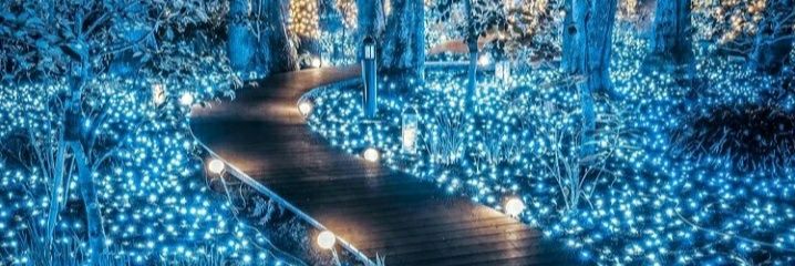 MsConiCaroline's profile banner image