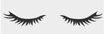 AlyssaNeimeyer's profile banner image
