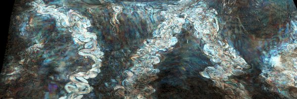 BergenBasins Profile Banner