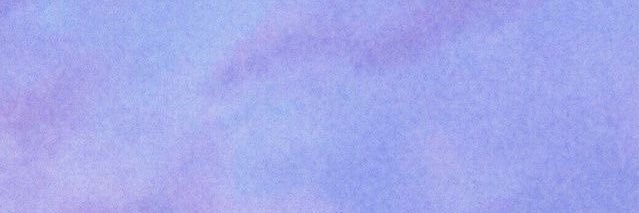 panetondematcha's profile banner image