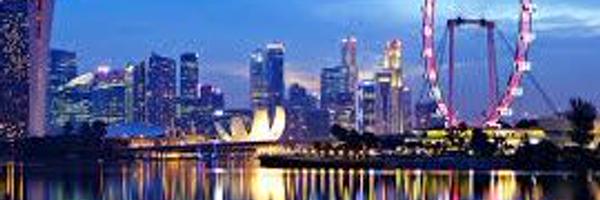 lBRADl Profile Banner