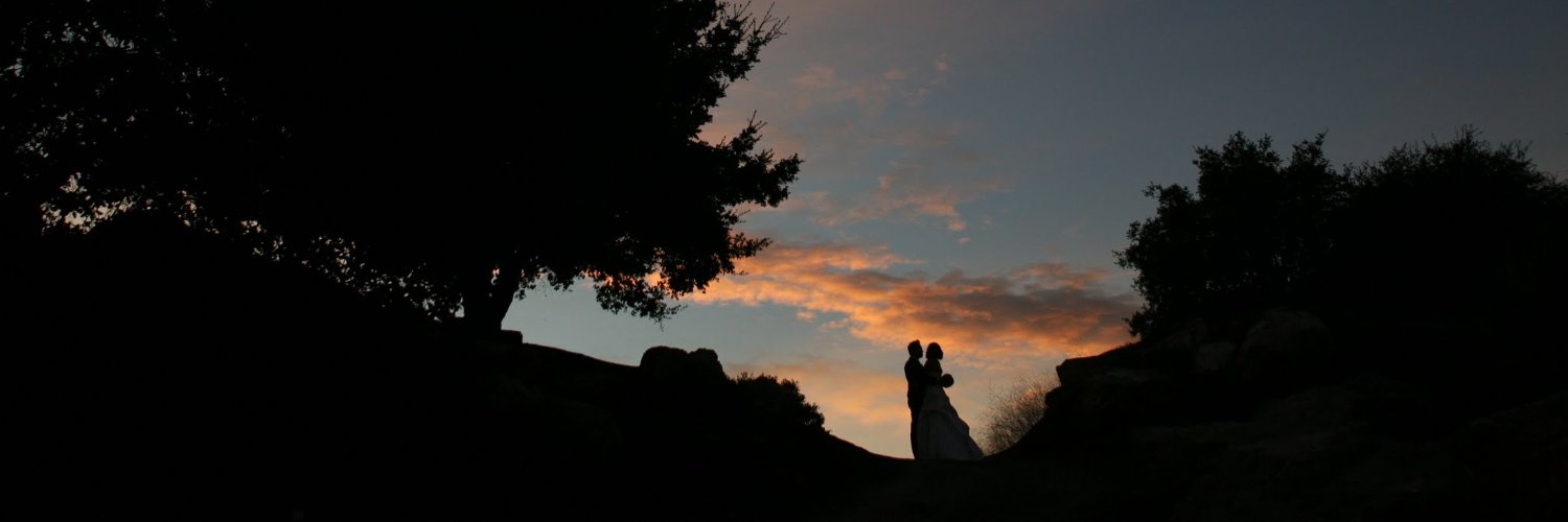 tine's profile banner image