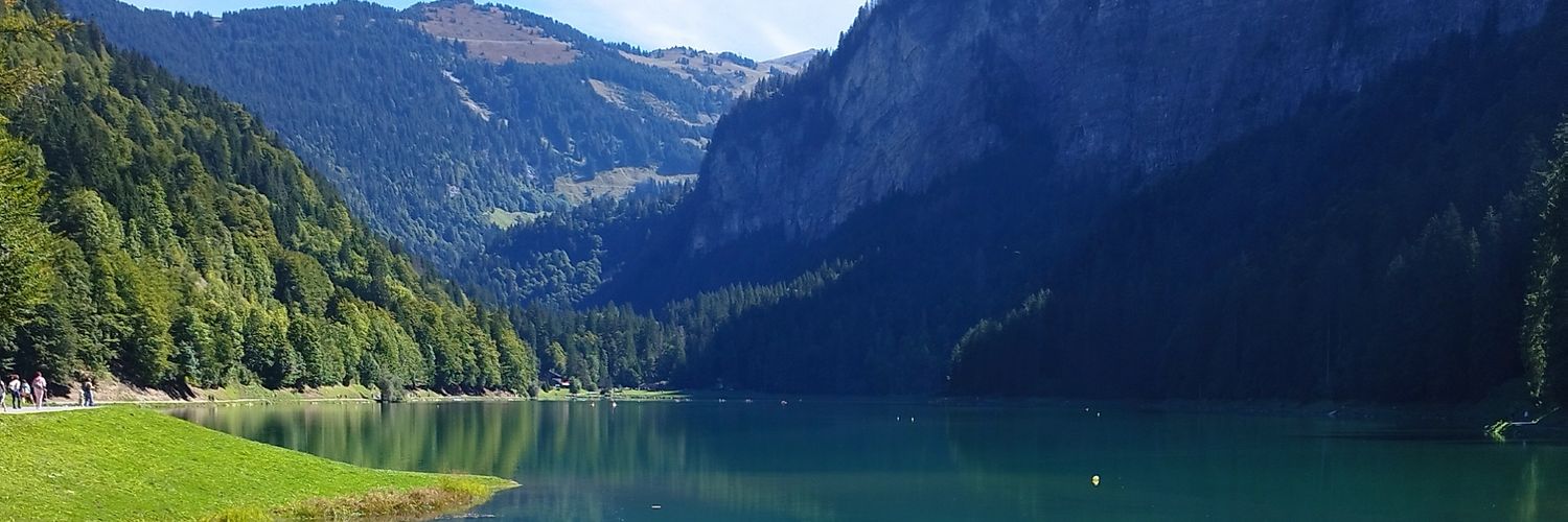 PreciliaQuimbre's profile banner image