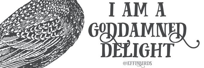 Gene Pool - 🥃🍸🖖🇨🇦📷🥊🎮🛩🚀💻🖕 banner