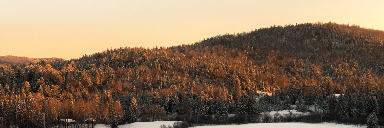 Canadian Digital Service (CDS) banner