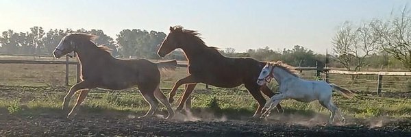 ACMACABALLOS Profile Banner