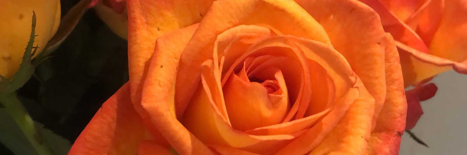 MiryMiry2309's profile banner image