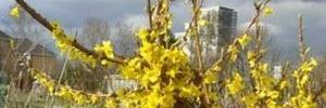 CraigheadUK's profile banner image
