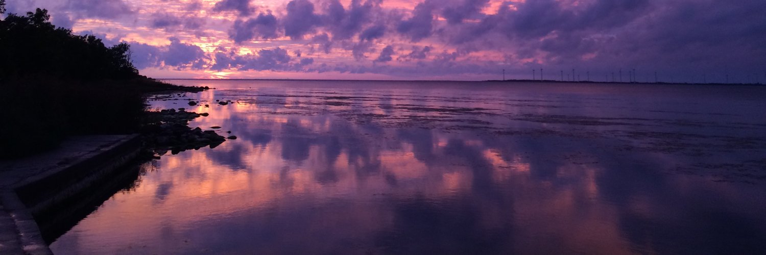 janl's profile banner image