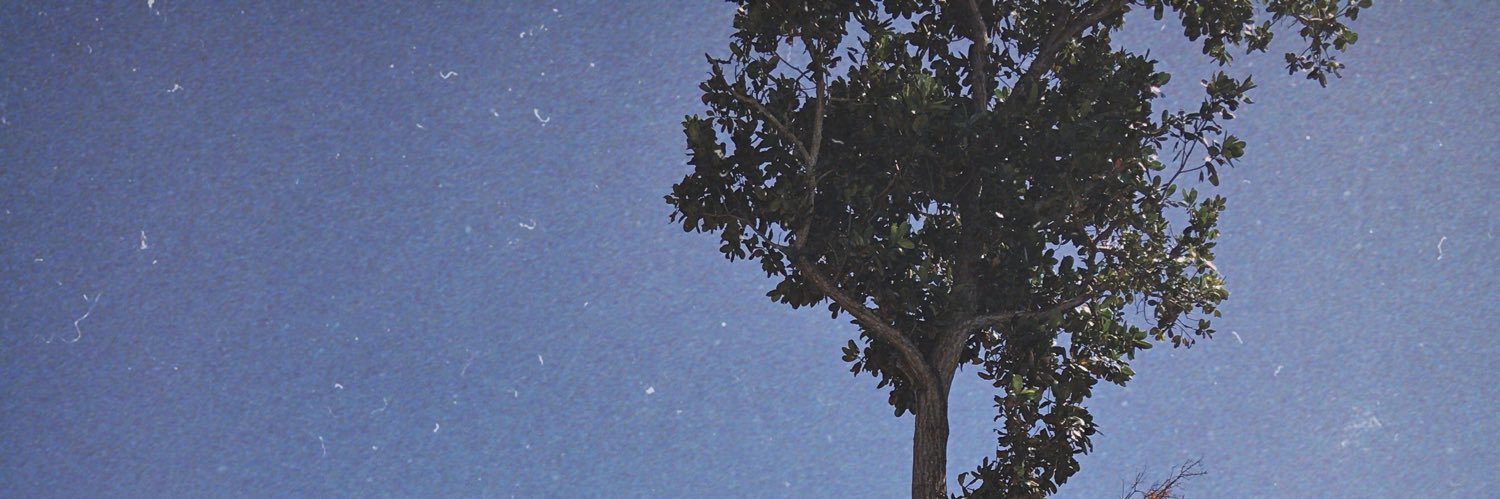 shaiidavid's profile banner image